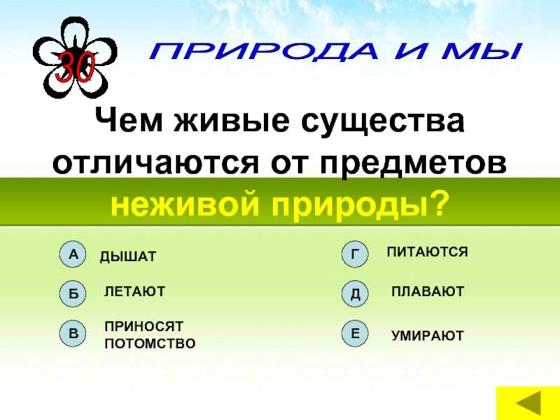 Живая и неживая природа