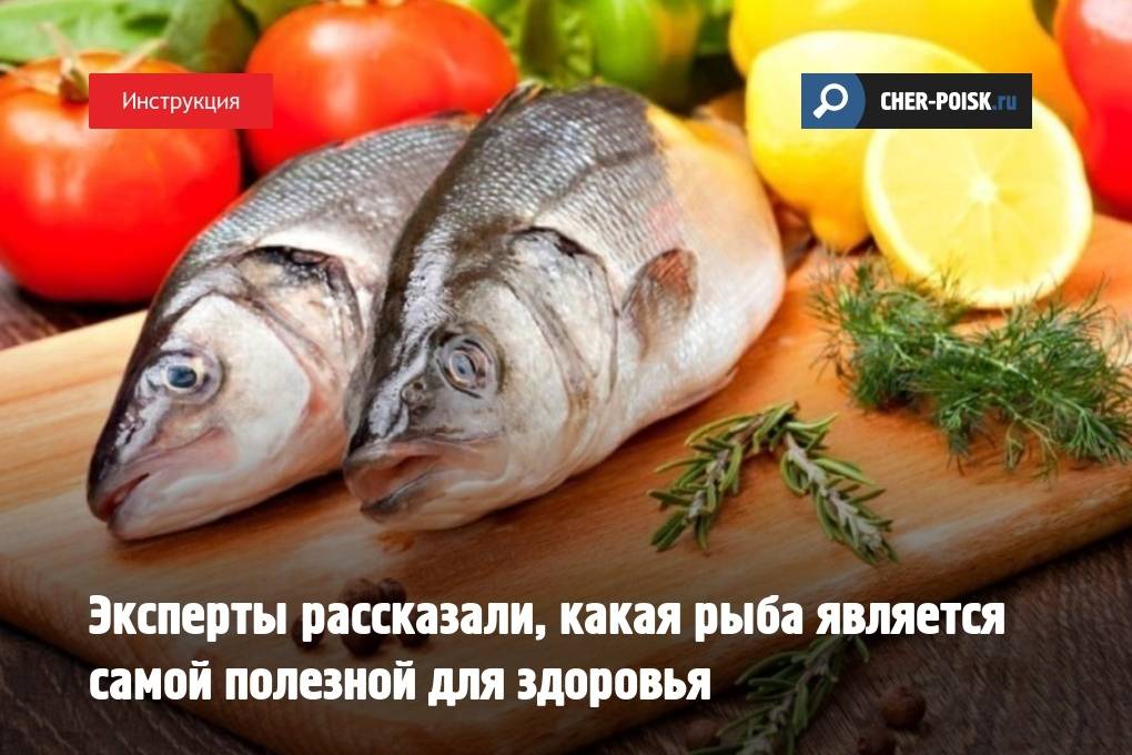 Топ-12 видов самой вкусной и полезной рыбы к 2023 году с названиями, описанием и фото