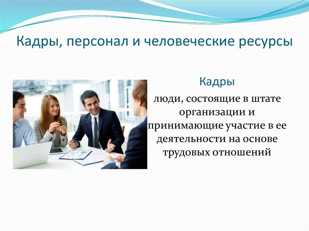 Кадры и персонал — различия и особенности выбора и управления сотрудниками