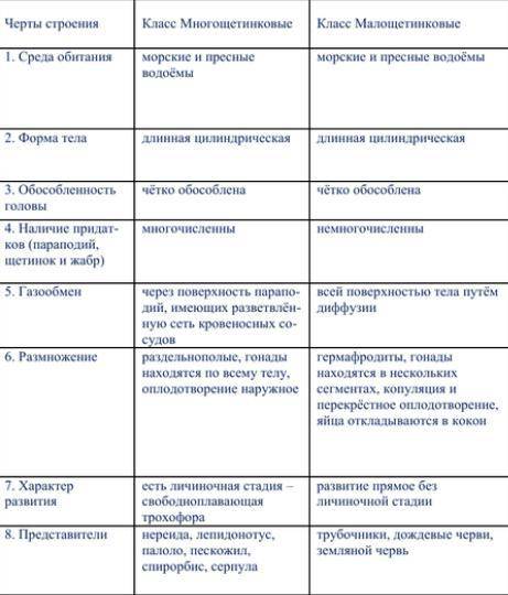 § 19. тип кольчатые черви / биология 7 класс