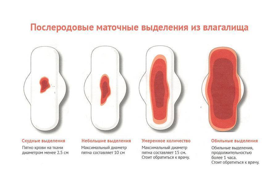 При беременности на ранних сроках выделения
