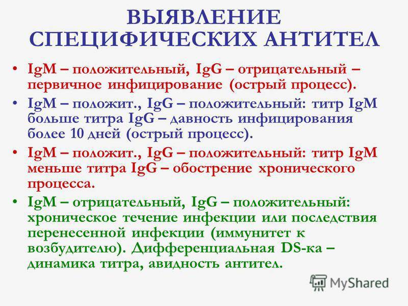Разница между антителами IgG и IgM