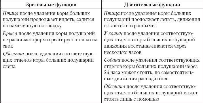 Туроператор или турагентство: что выбрать, чем отличаются?