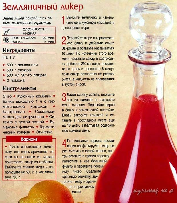 Чем наливка отличается от настойки – не перепутайте!