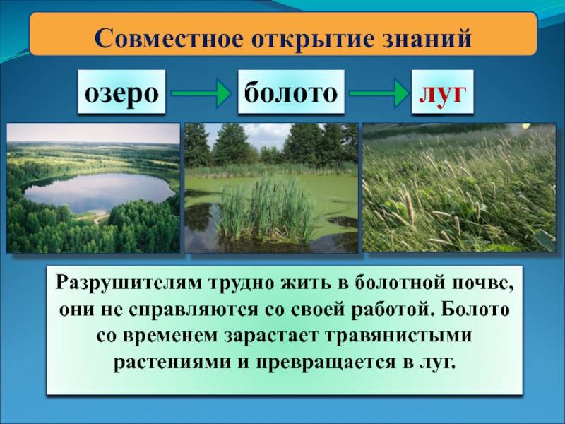 Чем озеро отличается от реки?