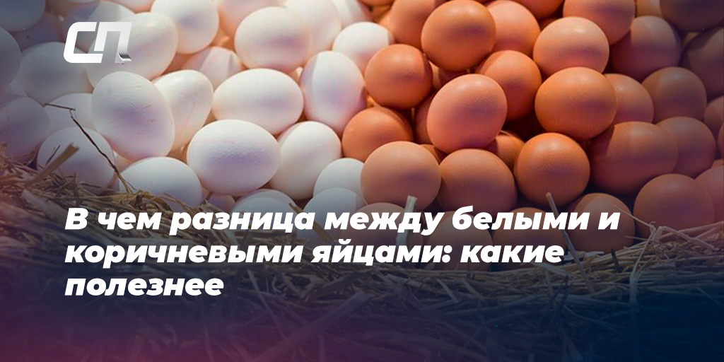 Выяснили, чем различаются коричневые и белые яйца: правда ли первые вкуснее и полезнее вторых — статья на тчк