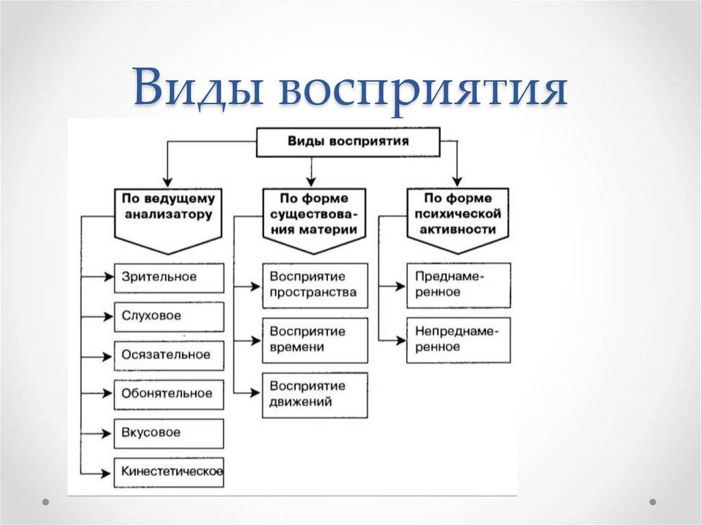 Виды  восприятия: свойства, характеристики, примеры