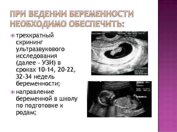 Узи скрининг беременности — центр гинекологии в санкт-петербурге (спб)
