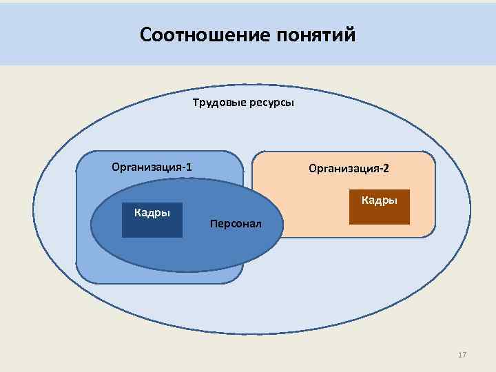 Персонал (кадры) предприятия. чем отдел управления персоналом отличается от отдела кадров