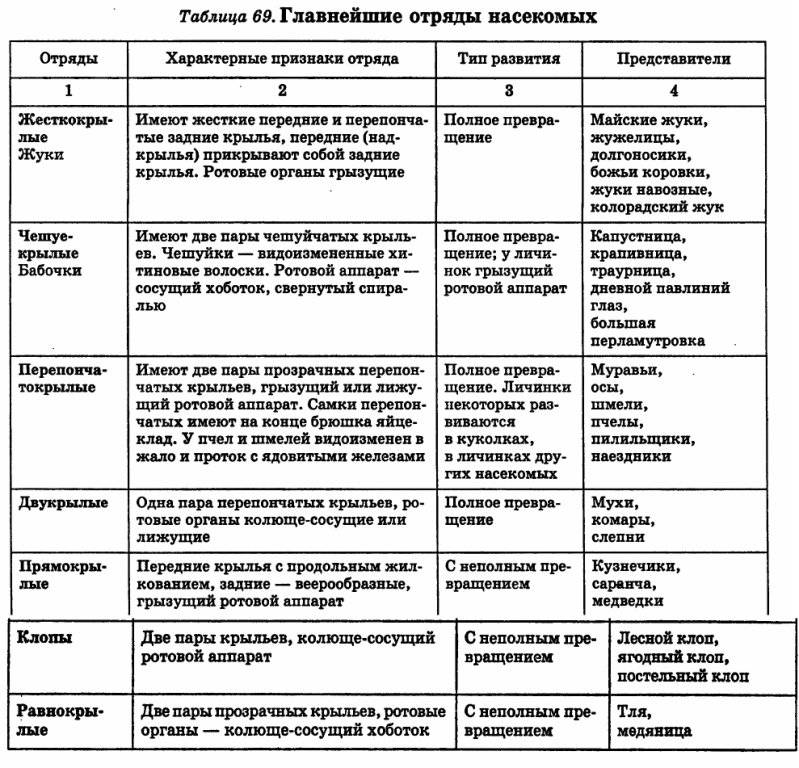 Чем они отличаются от насекомых. разница между пауками и насекомыми