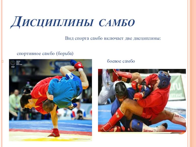 Чем отличается самбо от дзюдо?