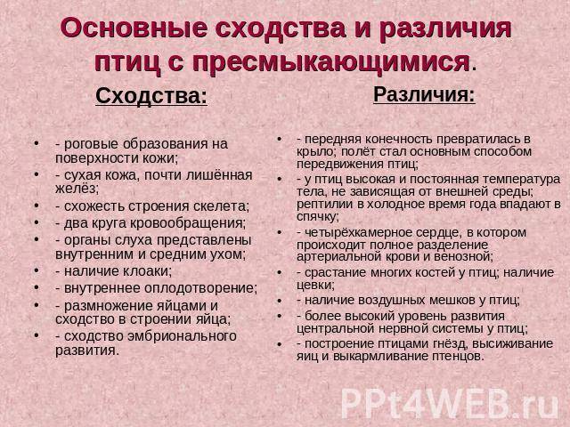 Чем птицы отличаются от животных | в чем разница