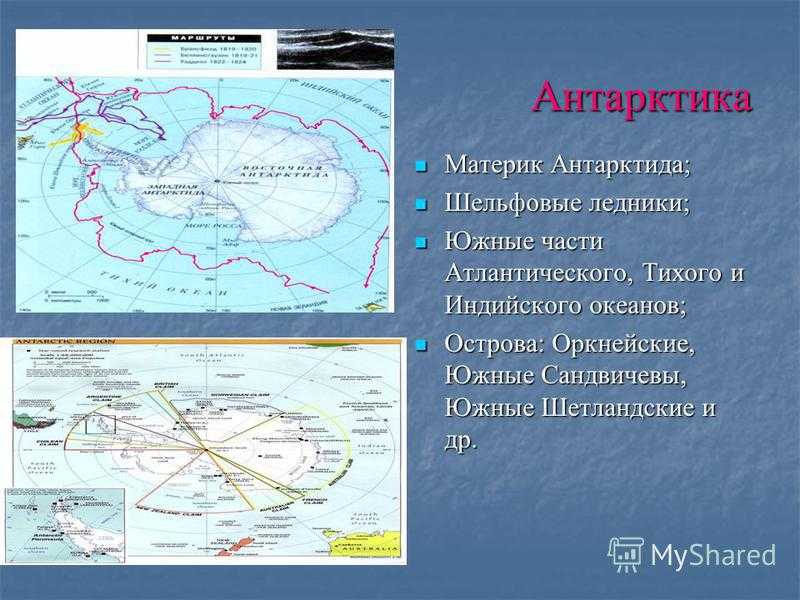 В чем разница между антарктикой и антарктидой: что это такое, что общего, в чем отличия?