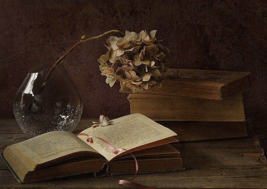 Раскрытый роман.