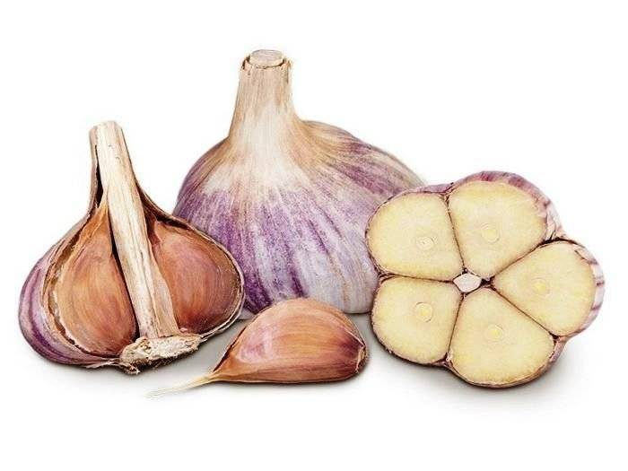 Яровой и озимый чеснок.