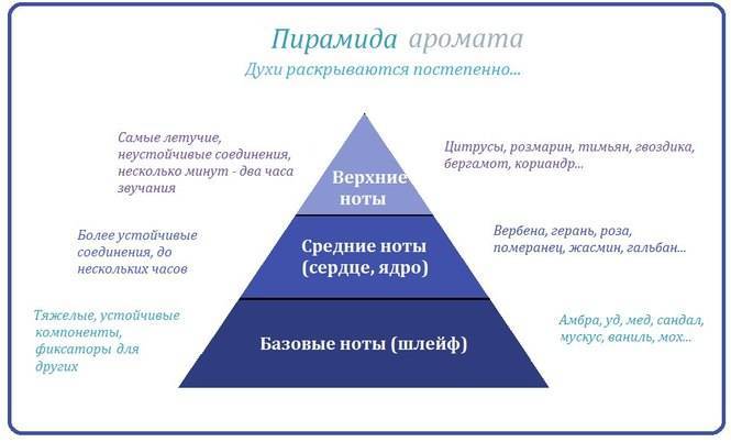 Пирамида аромата в парфюмерии.