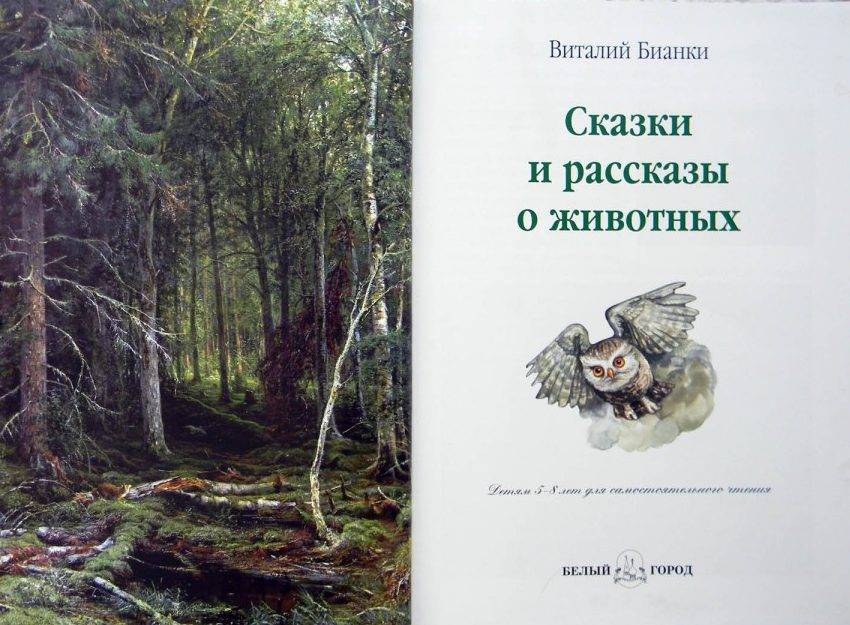 Сказки и рассказы.