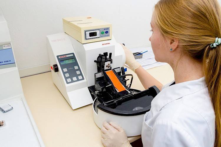 Анализ на гистологию.