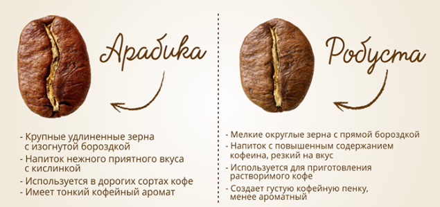 Отличие робусты от арабики.