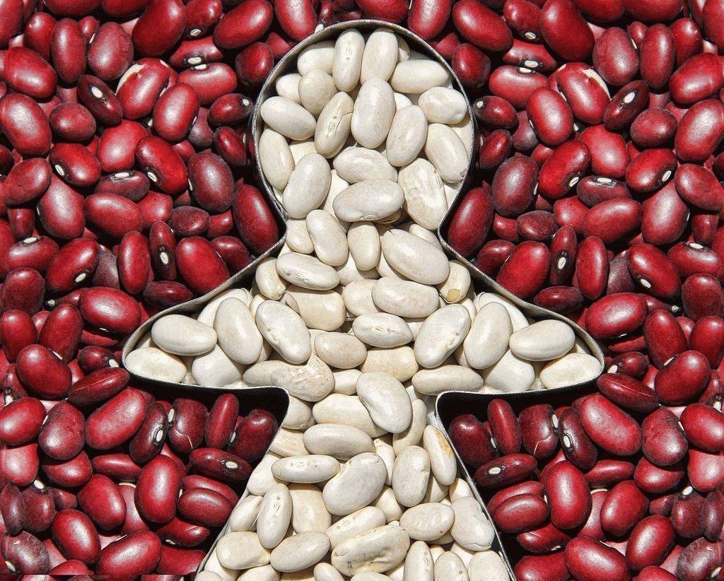 В чём разница между красной и белой фасолью.