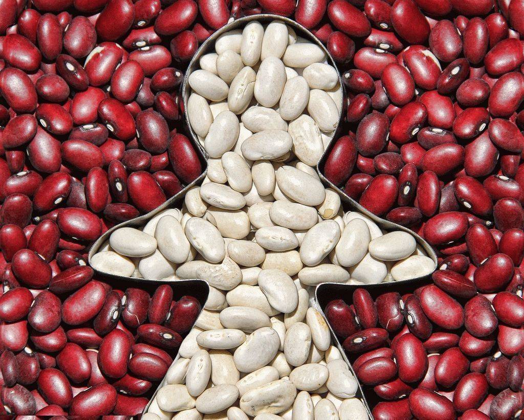 В чём разница между красной и белой фасолью.
