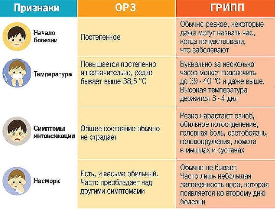 Отличия ОРЗ от гриппа таблица.