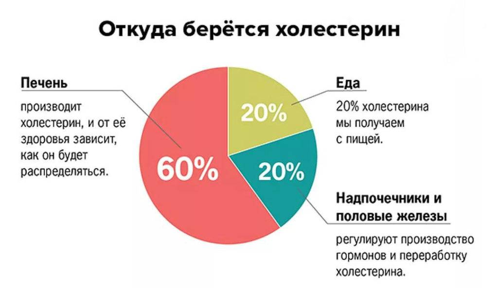 Откуда берётся холестерин.