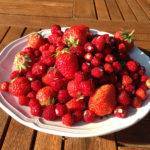 В чём разница между клубникой и земляникой.