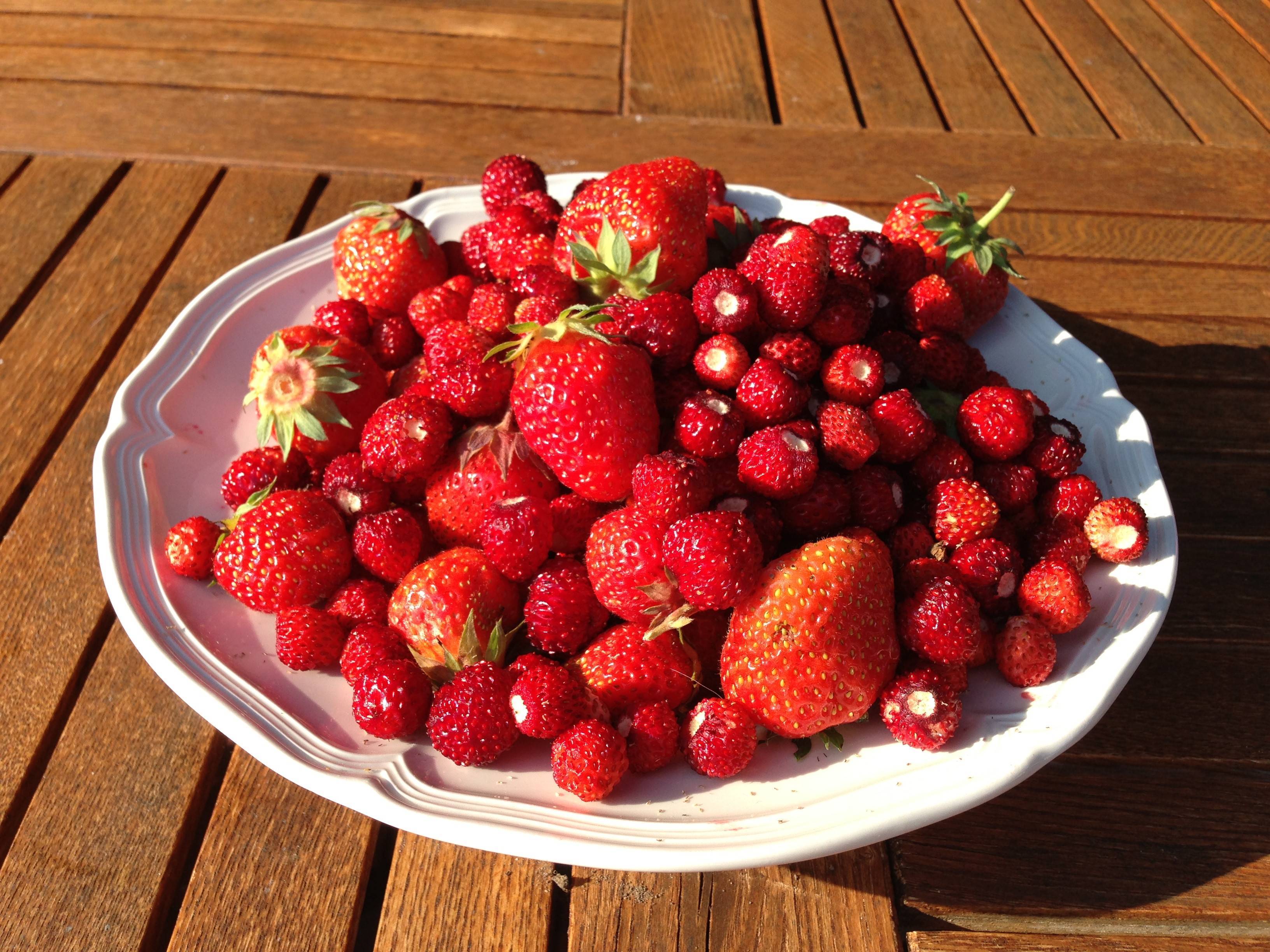 В чём разница между клубникой и земляникой.