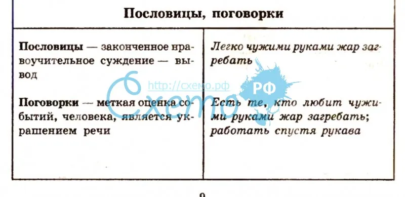 В чем разница между поговоркой и пословицей? различия и примеры