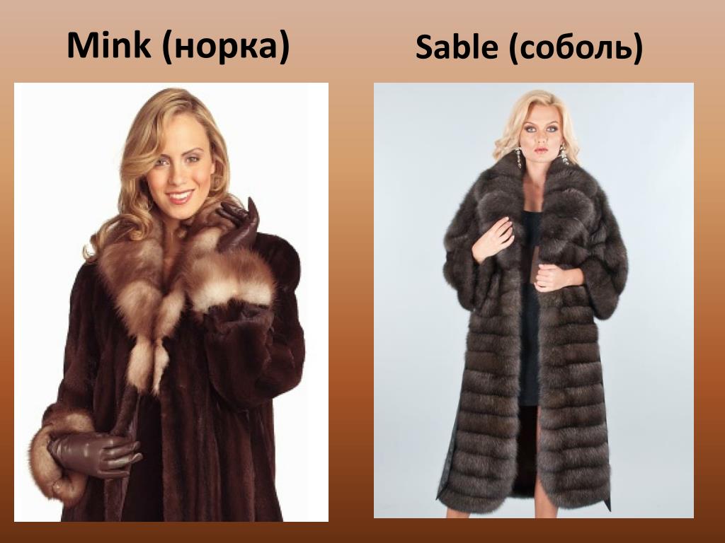 Соболь
