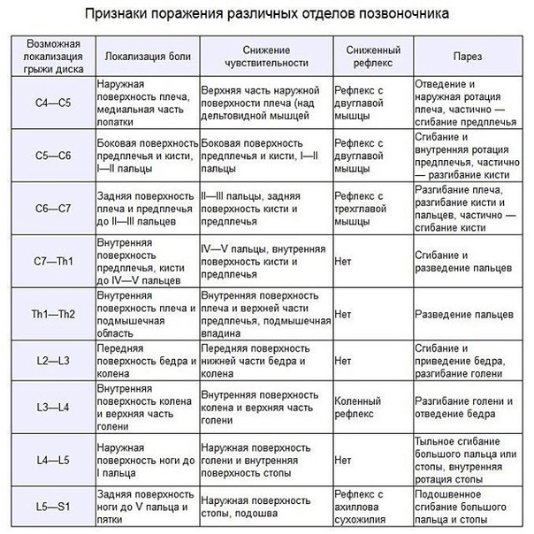 Отделы позвоночника у человека: таблица, особенности строения позвоночного столба