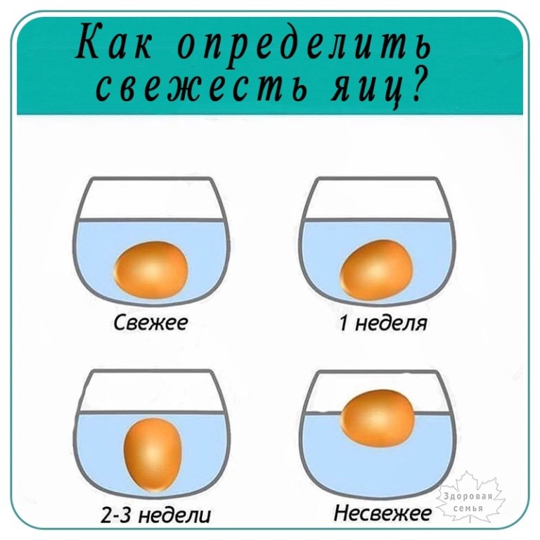Как проверить свежесть яиц в воде в домашних условиях