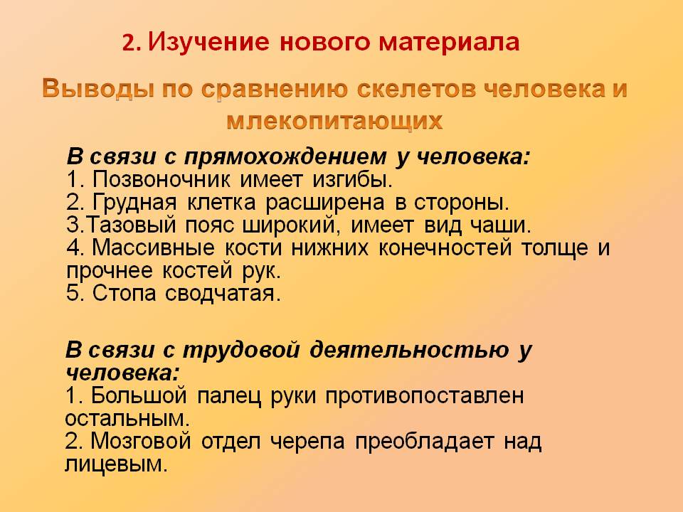 Каковы сходства и различия между скелетами человека и животных - разница между - 2024