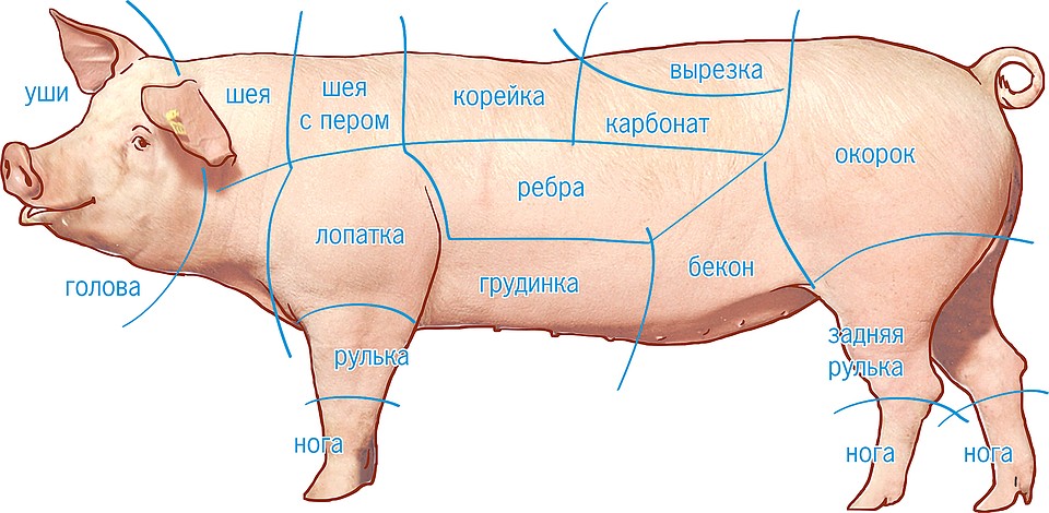 Какую свинину выбрать и чем отличается мясо разных частей