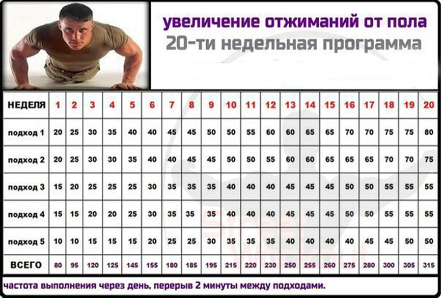 Как правильно отжиматься: руководство новичка