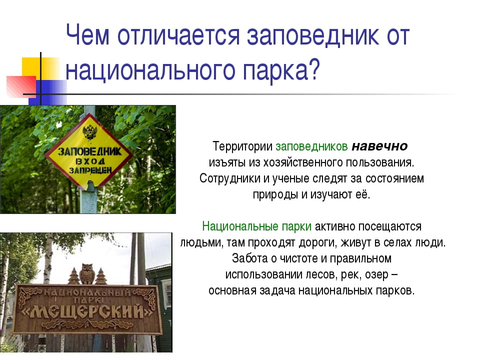 Чем отличается заказник от заповедника - особо охраняемые природные территории рф