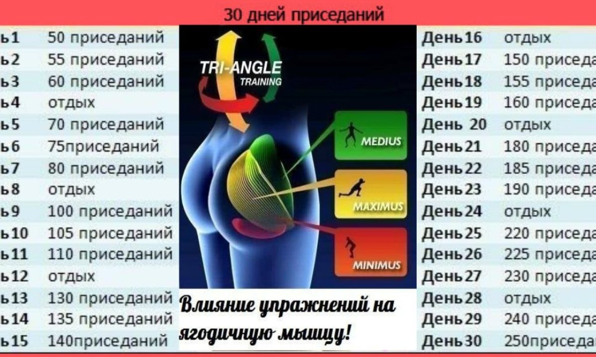 Приседания каждый день: что дают и что будет при таком подходе