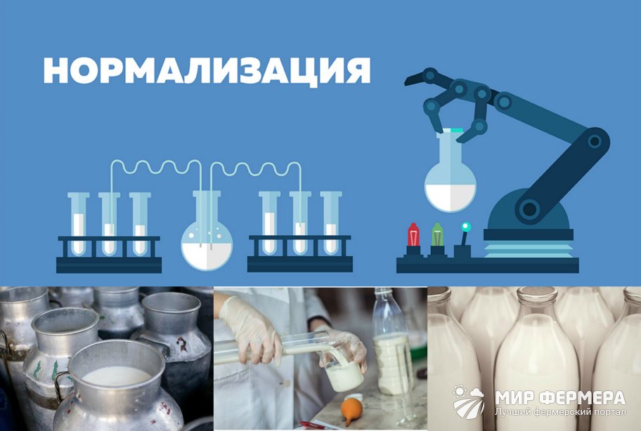 Что такое нормализованное и цельное молоко и чем они отличаются? - protipsgig.ru