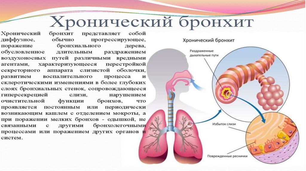 Чем отличается бронхит от пневмонии?