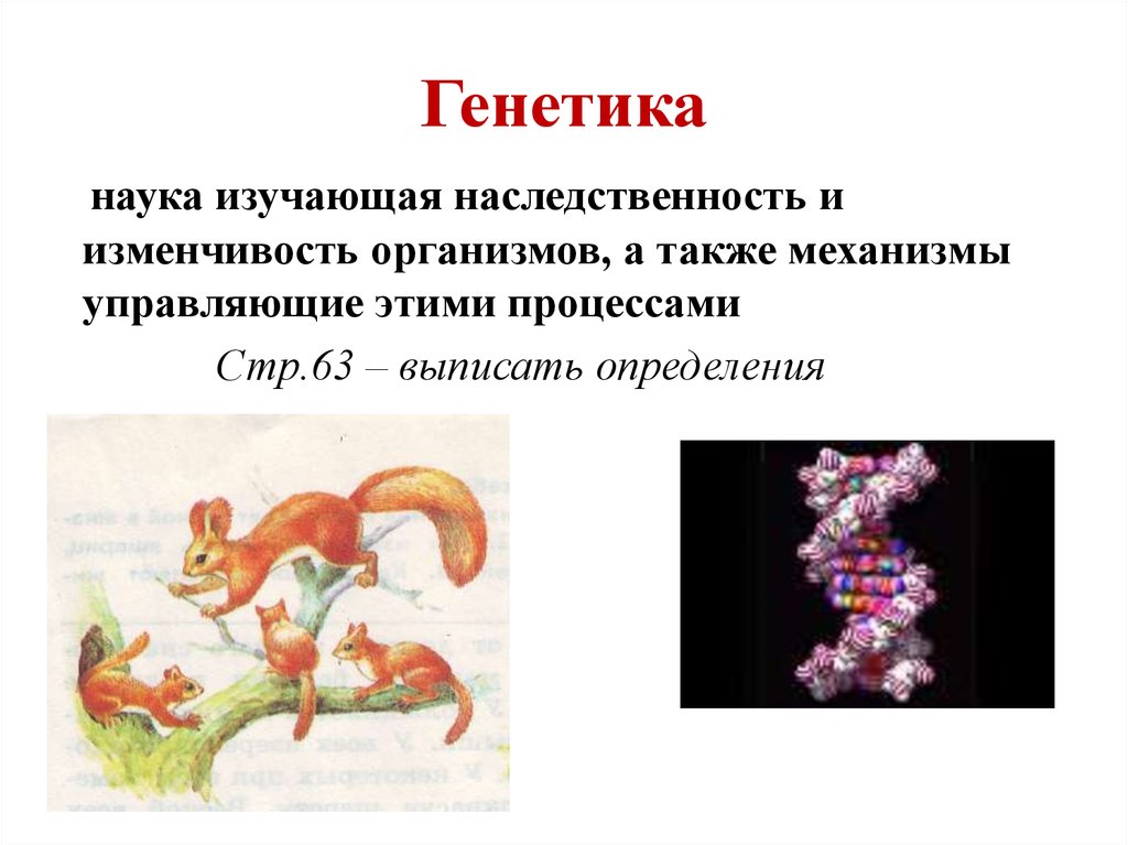 Генетика — викиучебник