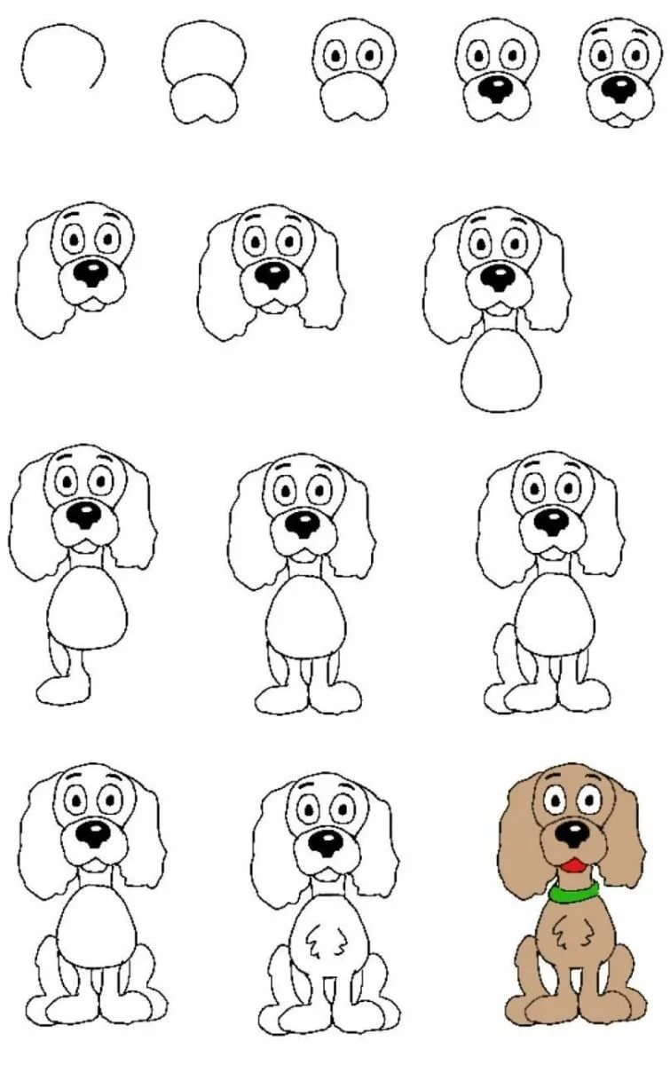 Как простым карандашом нарисовать очаровательную собаку