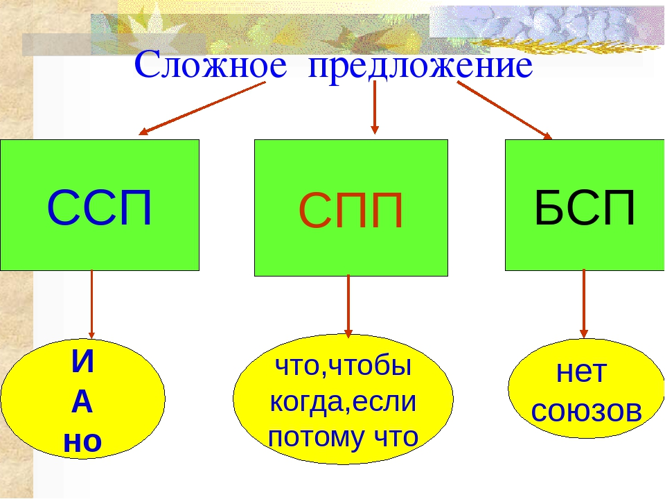 Сложное предложение - что это такое понятным языком и как отличить его от простого