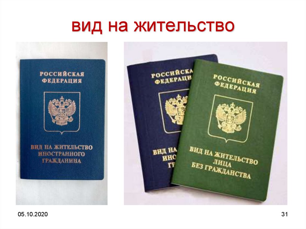 Вид на жительство в россии: как получить, необходимые документы