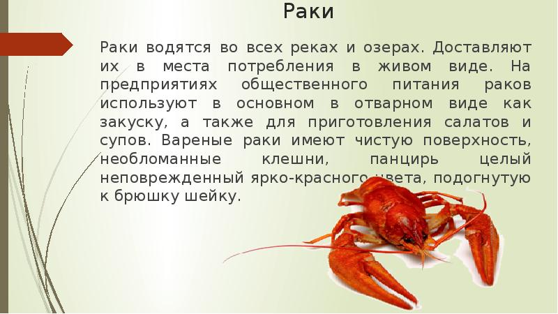 Питание раков в домашнем аквариуме от а до я
