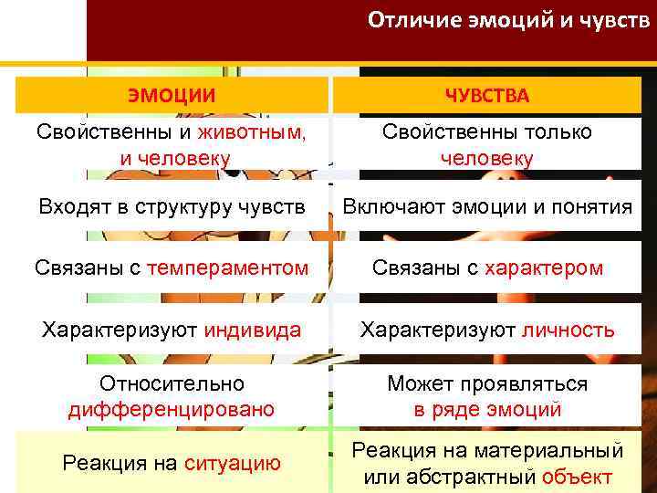 В чем разница между эмоциями и чувствами? | в чем разница
