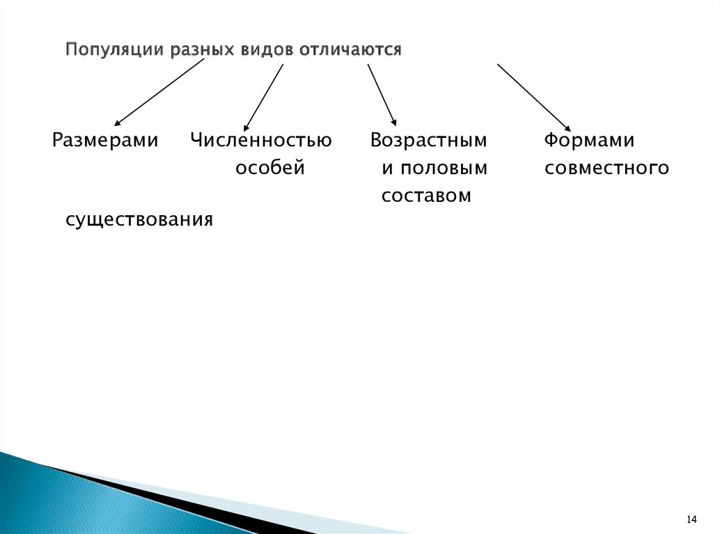 Разница между видами и популяцией