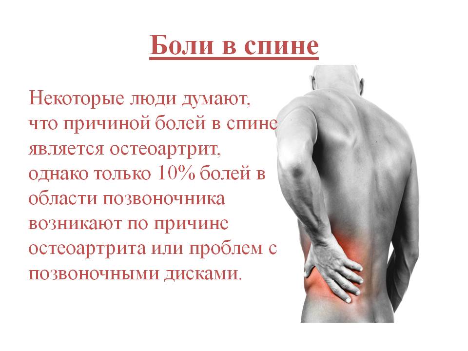 Болит спина или почки? вертеброгенные и отраженные боли