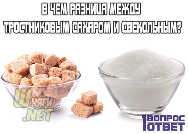 Сахар тростниковый или обычный какой выбрать