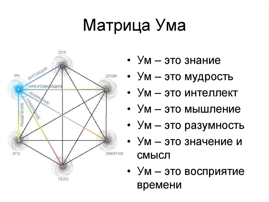 E.tvorogov • в чём суть интеллекта? разница между интеллектом и умом.